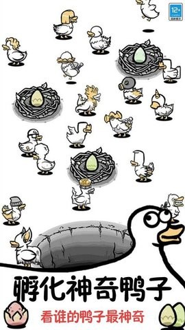 鸭了个鸭 鸭了个鸭