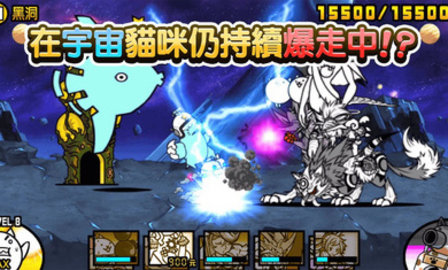 可爱猫咪大作战