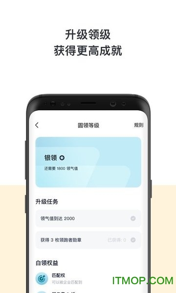圆领