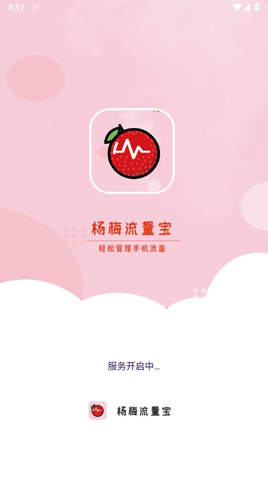 杨梅流量宝