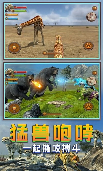 丛林老虎模拟器