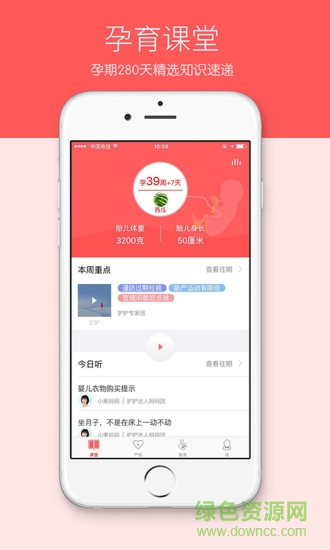 护护孕育