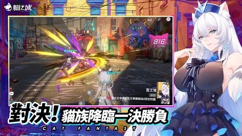 猫之城国际服 猫之城国际服