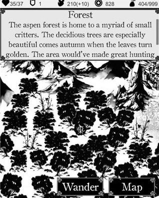 生命的流浪者(WandererofLifetimes)