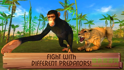 JungleSim