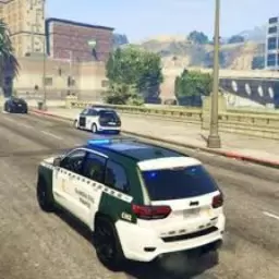 警车狂飙赛