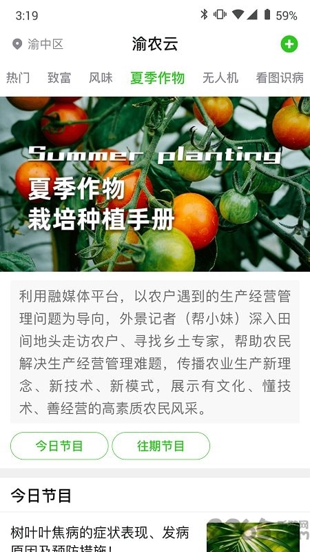 渝农云