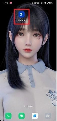麻匪动态壁纸透视文件