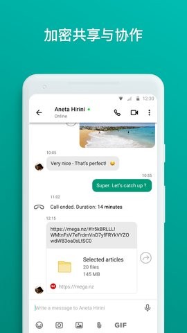 MEGA云盘 MEGA云盘