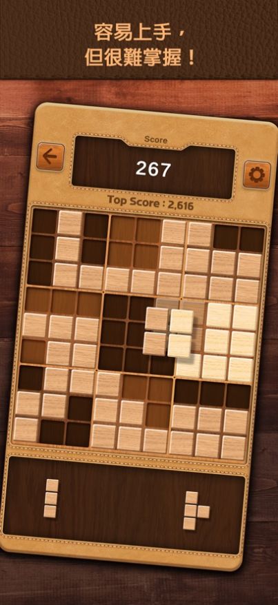 木块数独谜题(BlockSudoku)