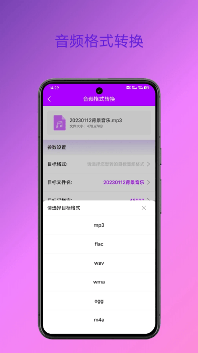 格式转换专家