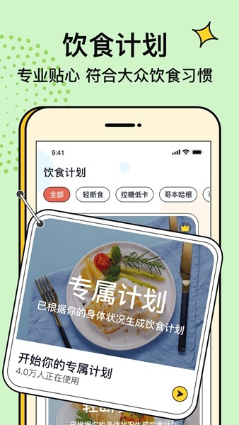 番茄闪轻手机版