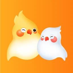 婚前婚后