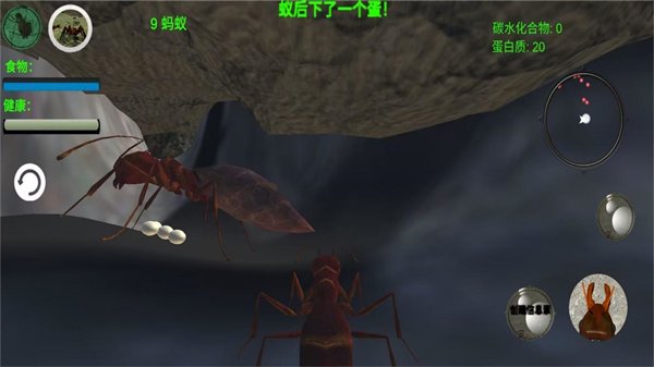 奇妙动物园最新版2025