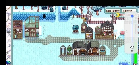 星露谷物语枫姨美化版