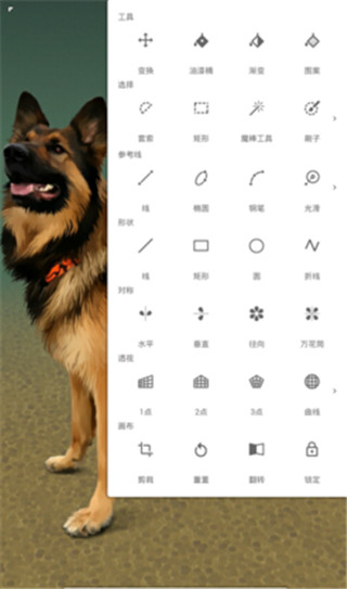 painter官网免费软件