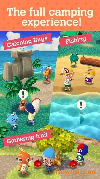 Pocket Camp