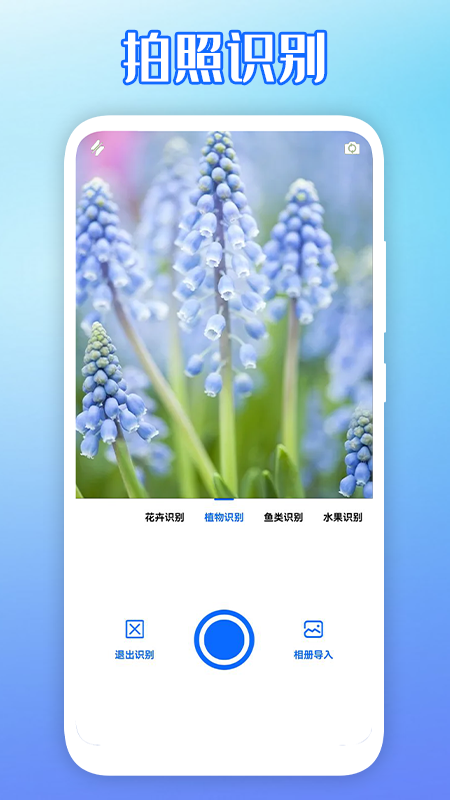 拍图识物