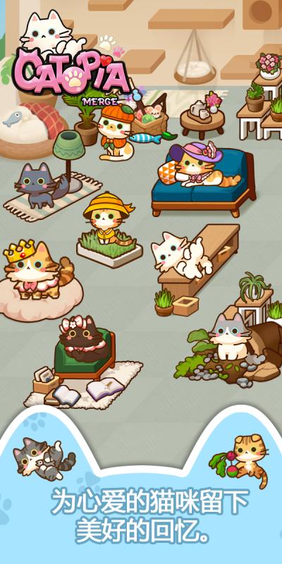 萌猫大本营(PicoPark)