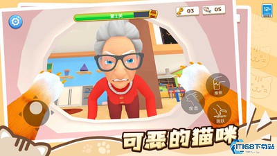 肥猫爱拆家
