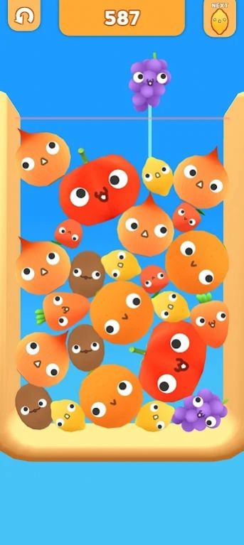 合并水果和蔬菜（Suika 3D Fruit Merge）