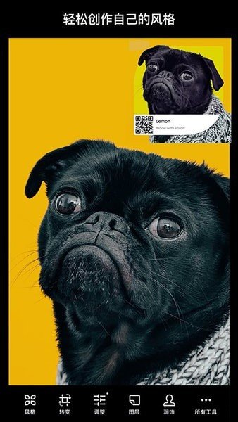 polarr photo editor泼辣app