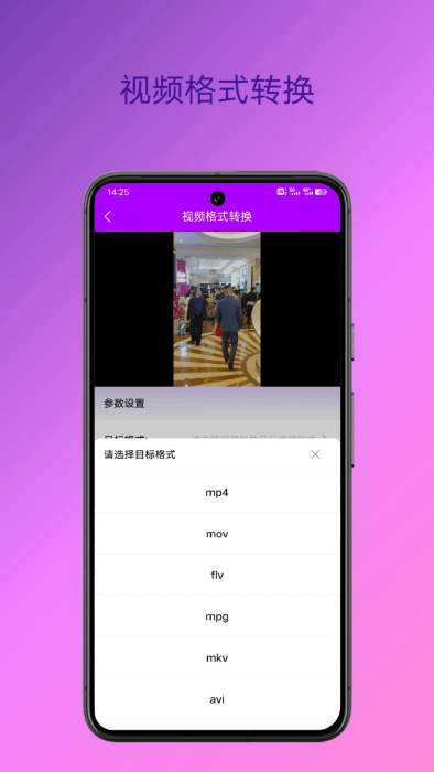 格式转换专家