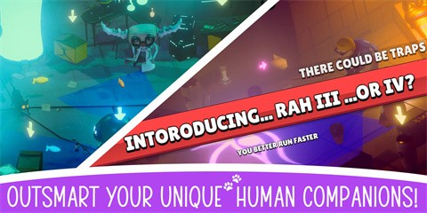 逃跑的猫咪 逃跑的猫咪