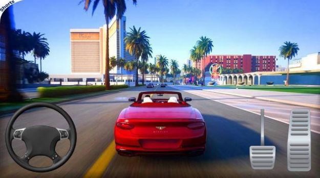 真实汽车生活(Real Car Life)