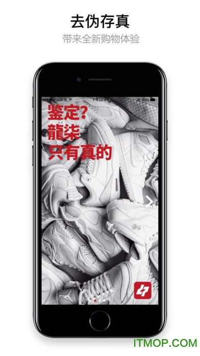 龍柒