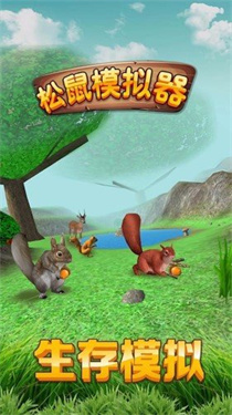 真实宠物大冒险 真实宠物大冒险