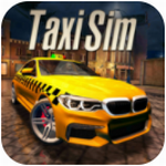 Taxi Sim 2020