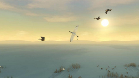 风暴男孩 汉化版