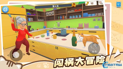 肥猫爱拆家