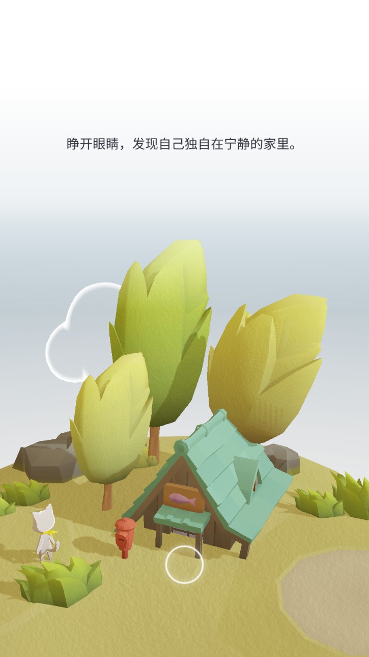 亲爱的猫咪