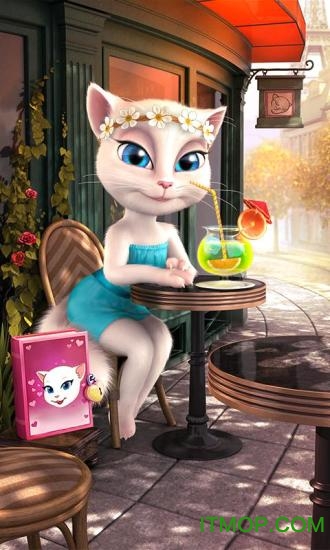 会说话的安吉拉喂养版