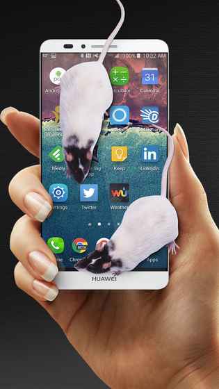 mouse in hand大鼠在屏幕上软件下载 mouse in hand大鼠在屏幕上软件下载