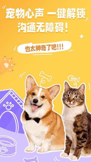 猫狗交流翻译助手 猫狗交流翻译助手