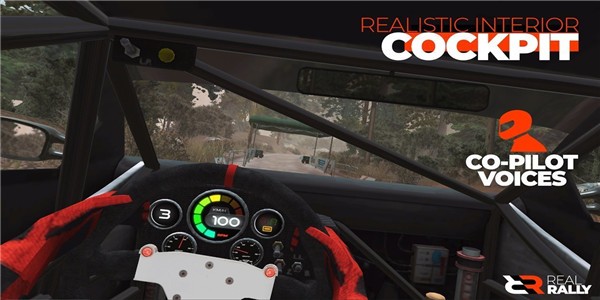 真正的拉力赛手机版(real rally)