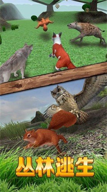 真实宠物大冒险