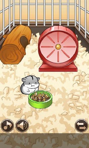 仓鼠的日常修改版