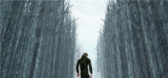 LostSurvivalLegacy(失落的生存遗产)