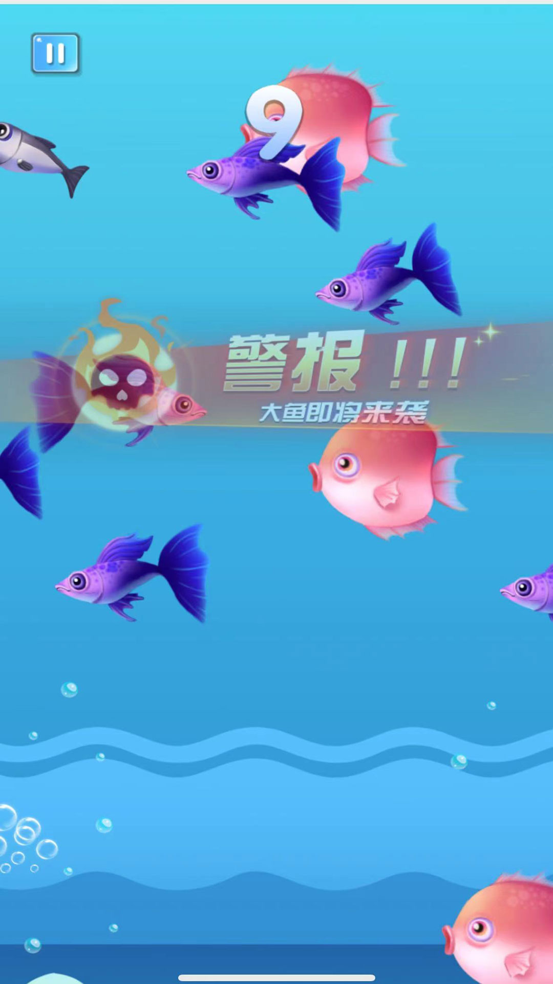 海洋霸主进化记