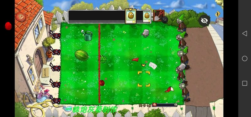 PVZ小葵花
