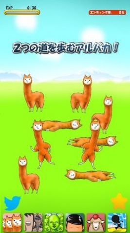 兄贵羊驼3(Alpaca)