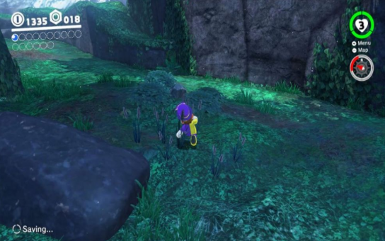 超级马里奥3D世界库巴之怒游戏