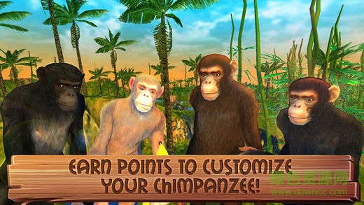 JungleSim