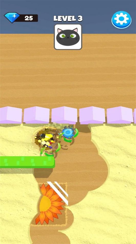 令人兴奋的发现Exciting Finds