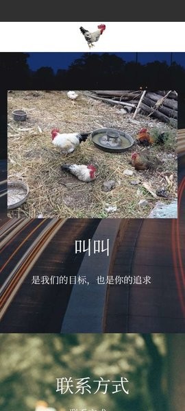 闪叫搜索