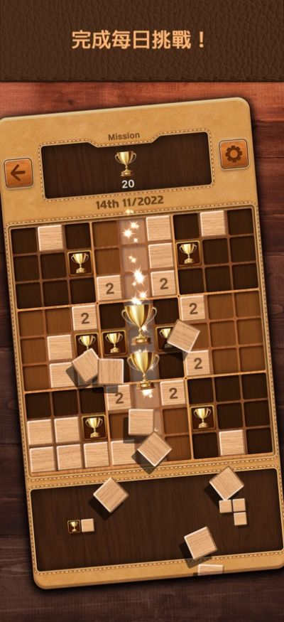 木块数独谜题(BlockSudoku)